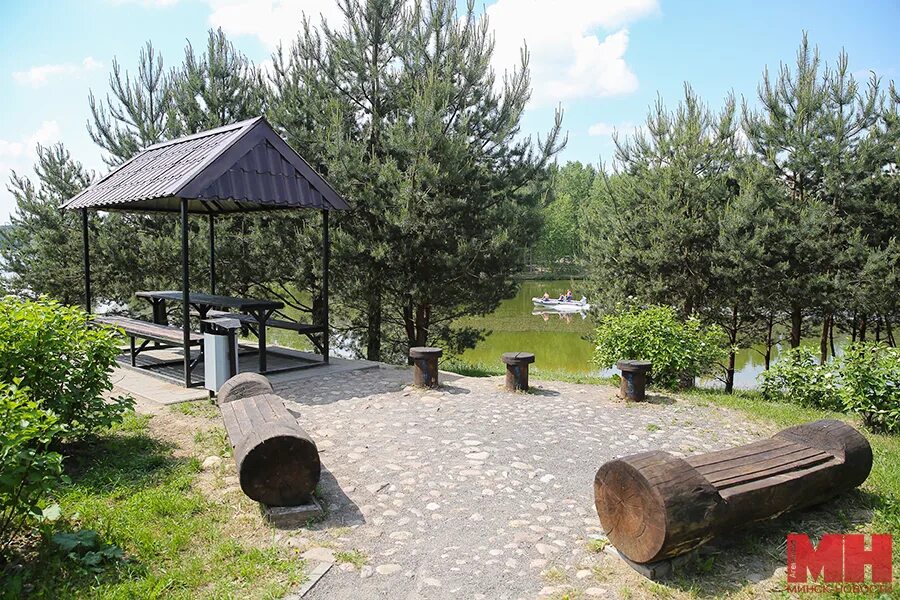 Пожарить шашлык минск