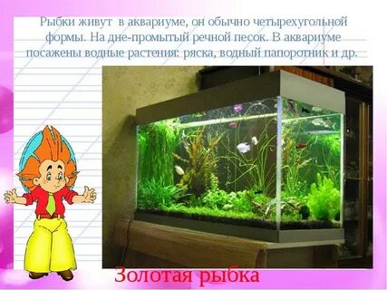 В школьном уголке 3 аквариума