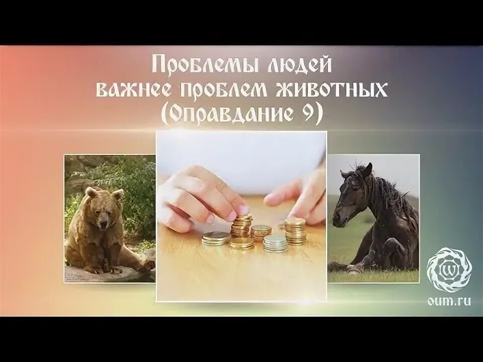Проблема человека и животного. Проблема человека и животного