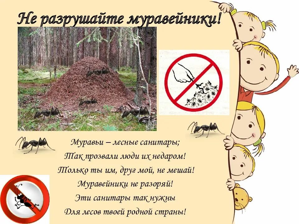 Поведение человека по отношению к природе