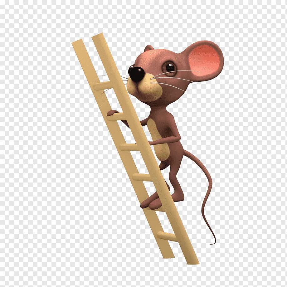 A mouse can climb