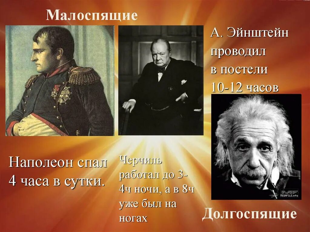 Наполеон спал по 4 часа в сутки. Сколько спал Эйнштейн. Сон известных людей. Ученые которые мало спали.