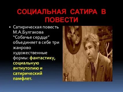 Какие проблемы поставленные булгаковым в повести
