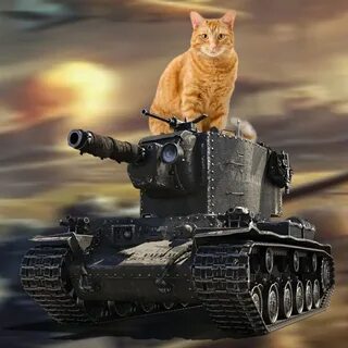 Кот в танке