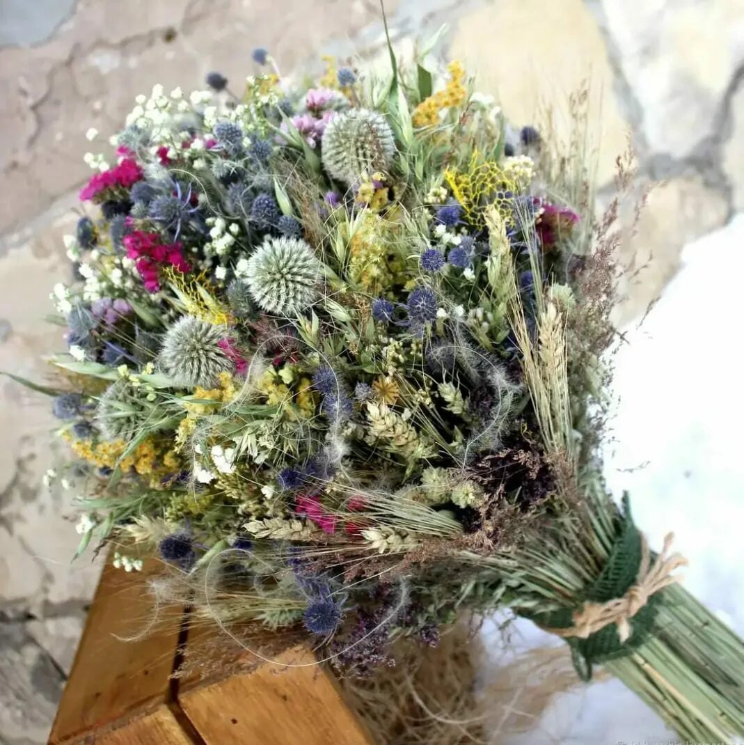 Dried flowers сухоцветы. Сухоцветы полевых цветов. Полевые сухоцветы для букета. Сивец луговой сухоцвет?. Букет сухоцветов.