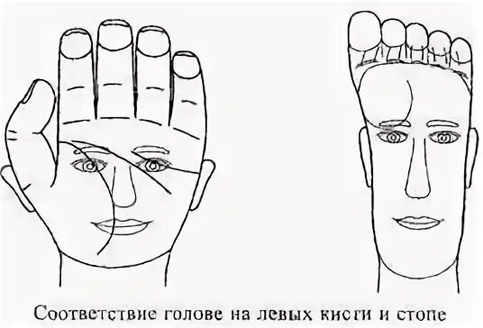 Отделение кисти и стопы