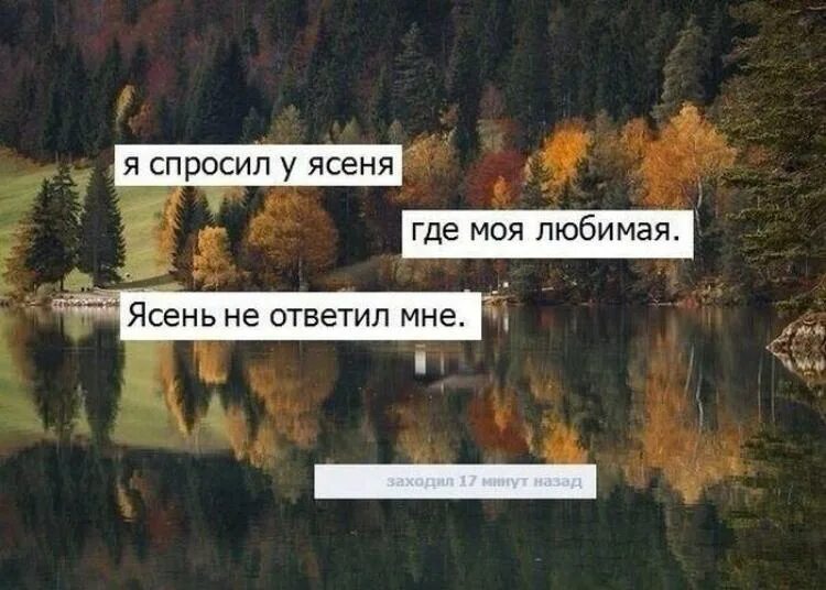 А я спрашивать не буду текст. Я спросил у ясеня. Я спросил у ясеня где моя любимая. Я спросил у ясеня где моя любимая Мем. Спроси у ясеня.