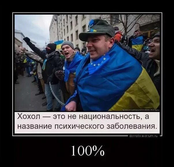 Хохол. Тупые украинцы. Демотиваторы про Украину. Тупые хохлы.