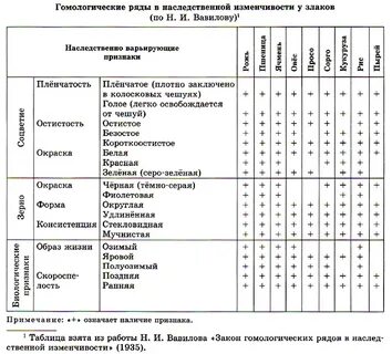 Закон гомологических рядов примеры