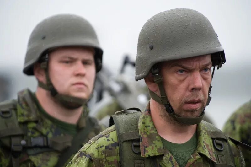 Эстонская армия Кайтселийт. Эстонские военные. Эстонский солдат. Эстонские войска. Глупый солдат