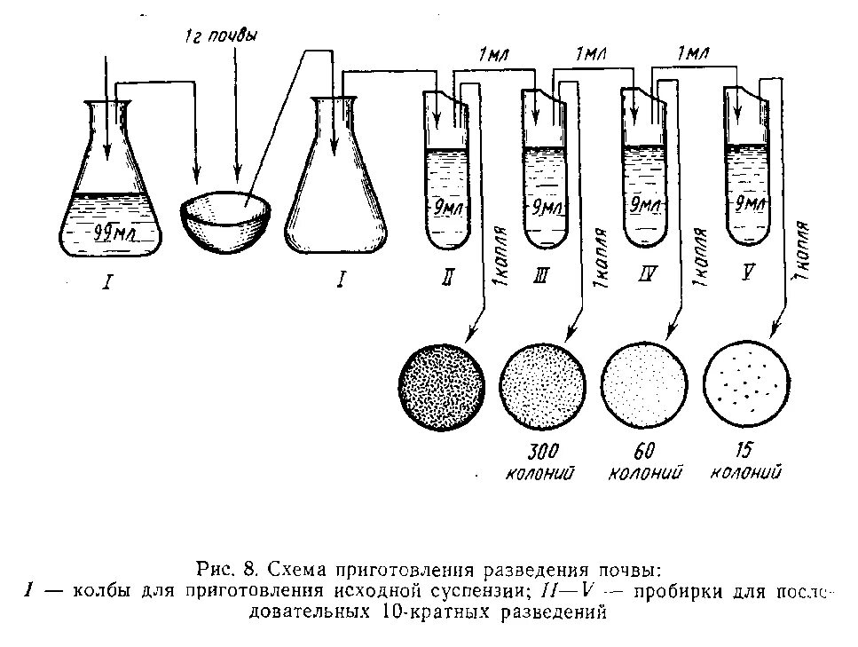 Схема санитарно-микробиологического исследования почвы. Схема санитарно-бактериологические исследования почвы. Исследование воды схема микробиология. Метод разведения почвенной суспензии.