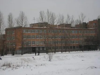 Школа 298 отзывы