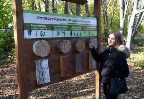 Сайт экологический центр