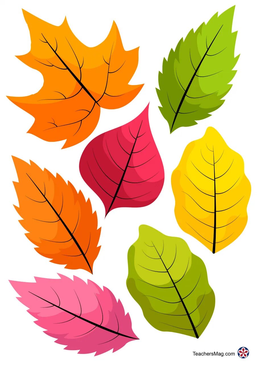 Лист рисунок цветной. Осенние листочки. Осенние листья картинки для печати. Разноцветные листья для детей. Осенние листья для детей.