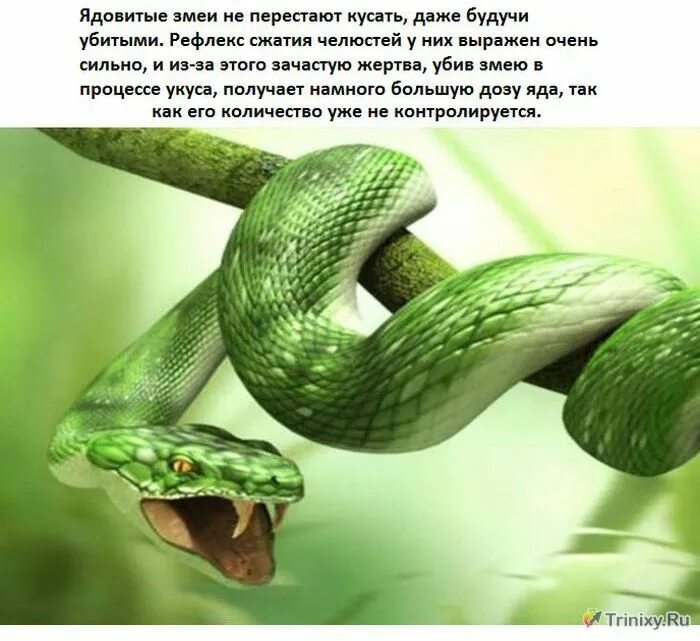 Читать обо всем интересном