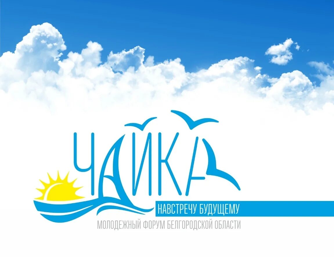 Форум чайка. Чайка эмблема. Форум чайка. Жилищный комплекс чайка челябинск. Молодёжный педагогический форум.