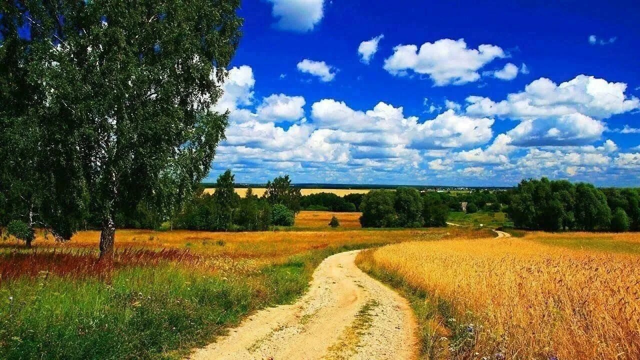 Родной край связь. Деревенские тропинки Марий Эл. Поле деревня. Русские просторы. Лето в деревне.