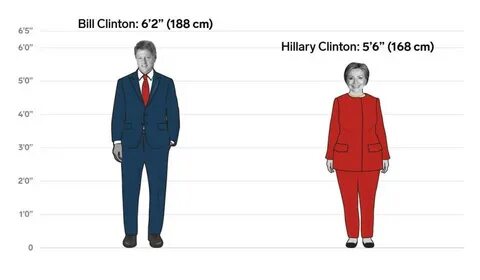 Bill was tall