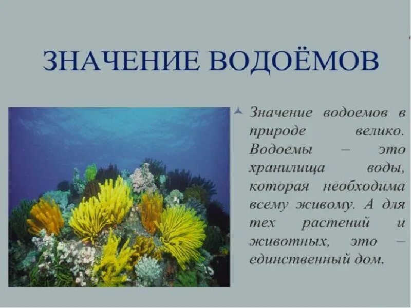 Значение водоемов для природы. Роль водоемов в жизни человека. значение водоемов для человека. слайд значение водоемов.