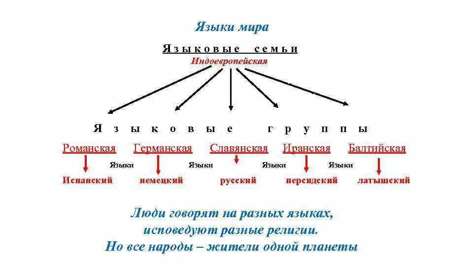 Языковые группы языков