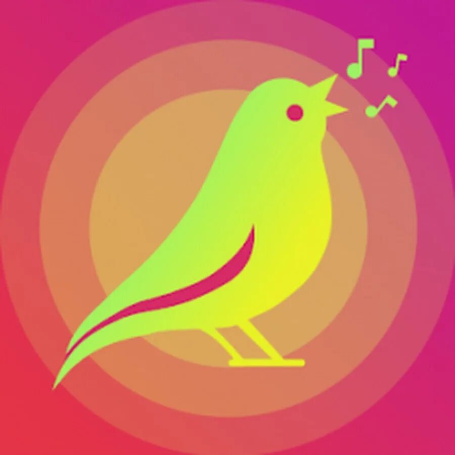 Bird sounds. Звук птиц со звуком. Реклама рингтонов птичка с дудкой. Новая птица мелоди. Melody bird.