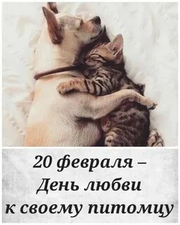 День любви к своему питомцу картинки