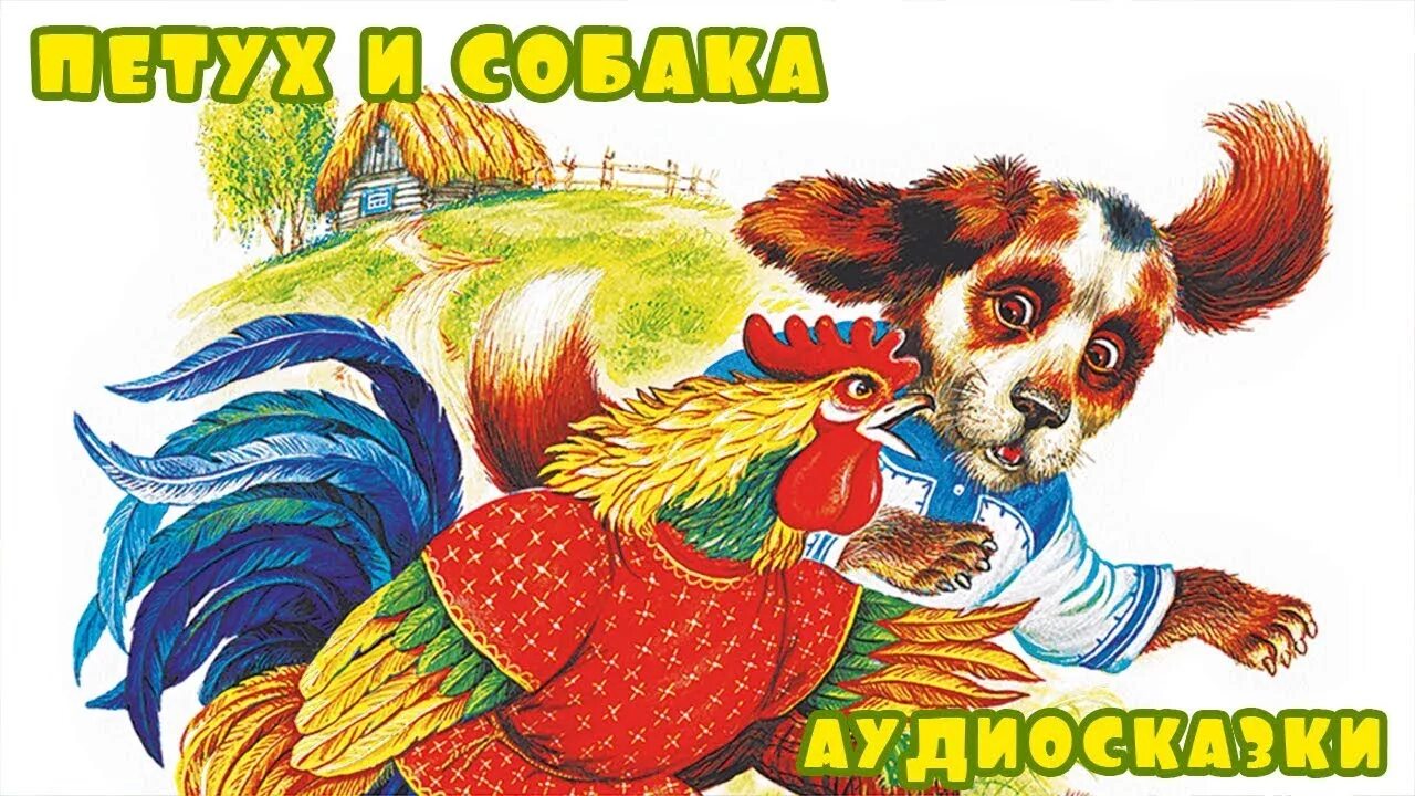 Петушок т бобовое зернышко. Петушок золотой гребешок. Сказка. Петушок и солнышко. В.