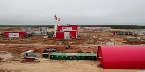 Месторождение гриба архангельская область