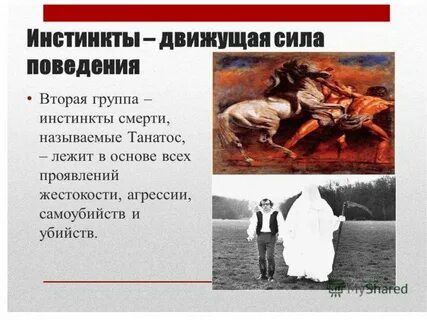Жить инстинкт