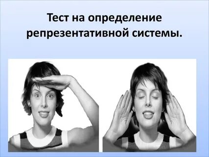 Воспринимающие системы