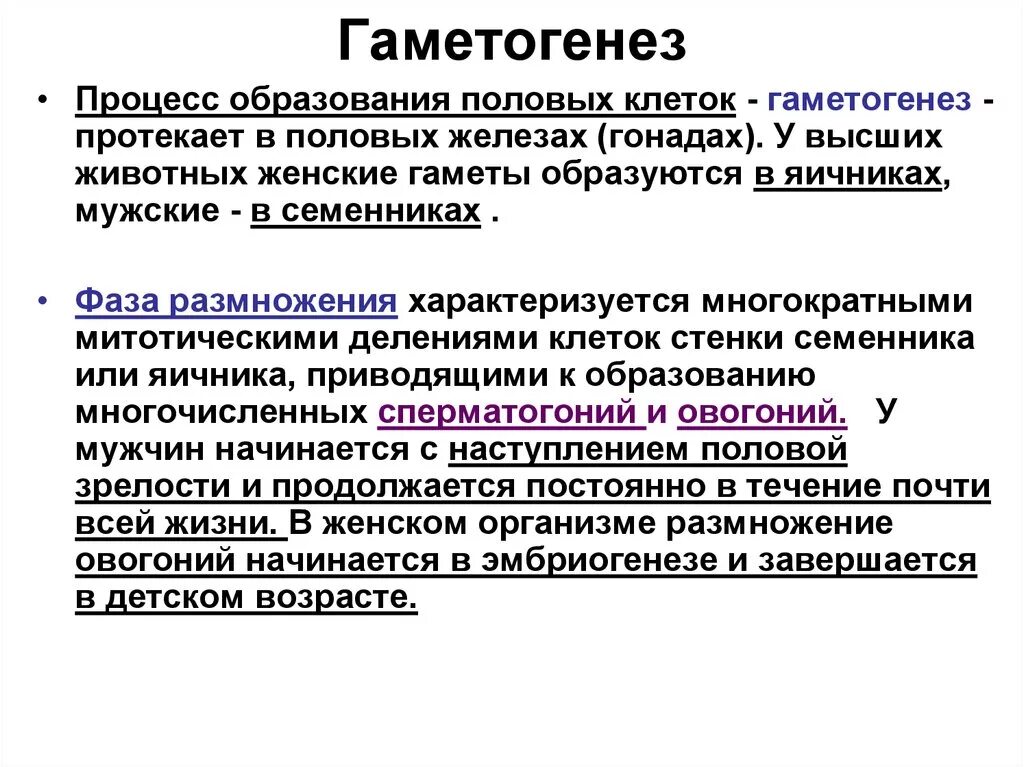 Термин гаметогенез. Гаметогенез кратко. Гаметогенез определение. Понятие гаметогенез. Гаметогенез фазы и характеристика.