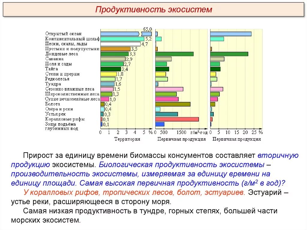 Большая биомасса первичной продукции. Продуктивность экосистем. Продуктивность агроэкосистемы. Первичная продукция это в экологии. Первичная продукция экосистемы.