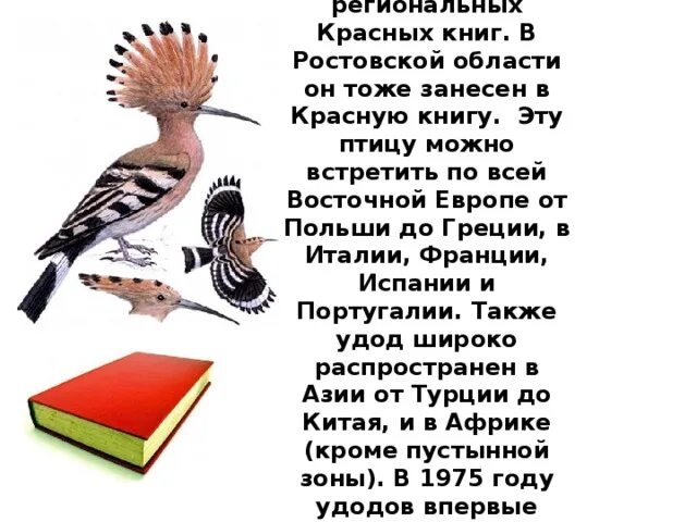 Песни занеси меня в красную книгу. Удод красная книга. Птицы которые занесены в красную книгу в Ростовской области. Удод птица в красной книге. Удод в Ростовской области.