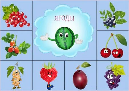 Назови общим словом