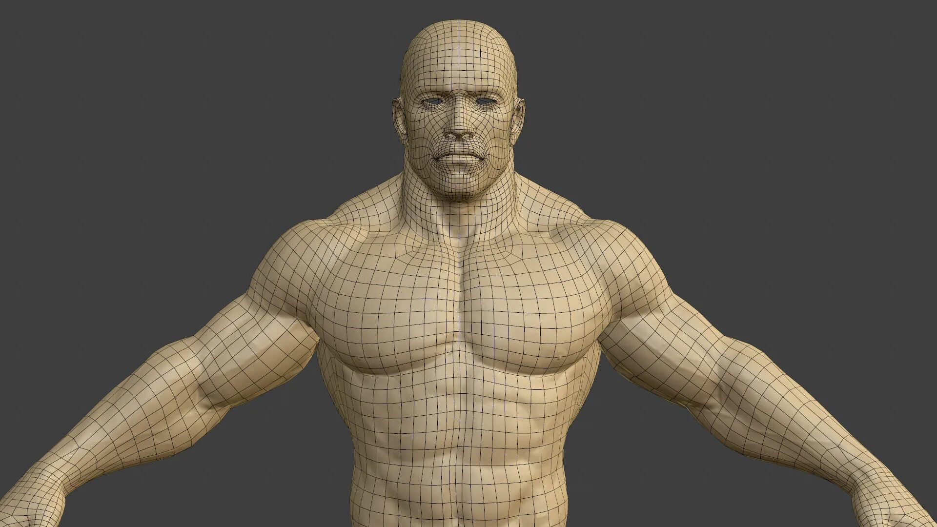 3d models video