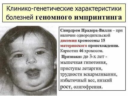 15 хромосома