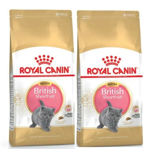 Royal canin для котят британцев. Каким кормом кормить британскую. Корм для британских котят. Роял канин для котят британских короткошерстных. Роял канин для кошек британской породы.