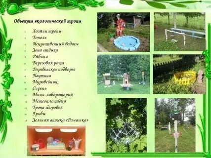 Экологическими тропами поволжья