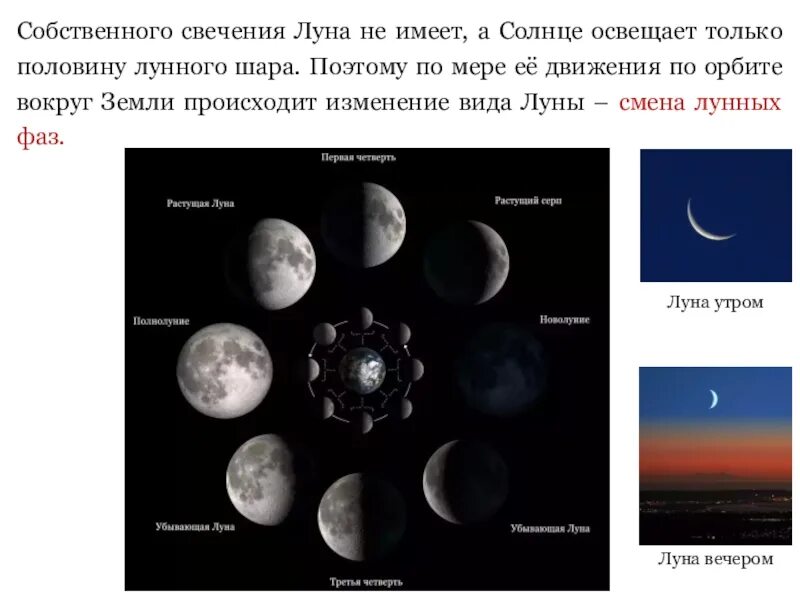 24 декабря луна в какой фазе