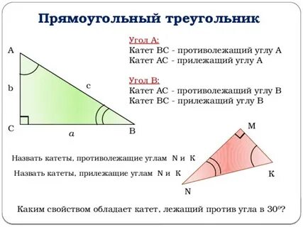 Известны катеты узнать угол