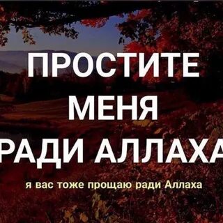 Простите тоже