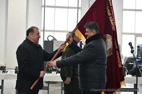 Салео гомель