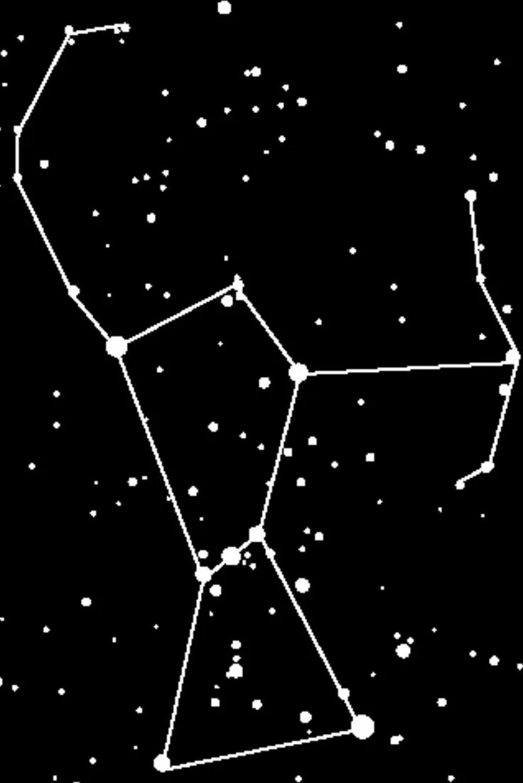 Созвездие фаворского. Созвездие Орион и Медведица. Созвездие малой медведицы и Орион. Звезда Беллатрикс Ориона. Созвездие Ориона на карте звездного неба.