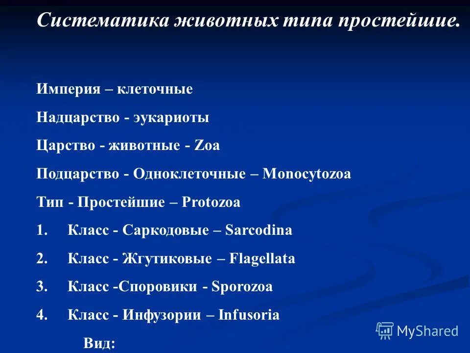 надцарство царство тип. надцарство царство тип отдел. надцарство царство тип. систематика надцарство царство. надцарство царство тип.
