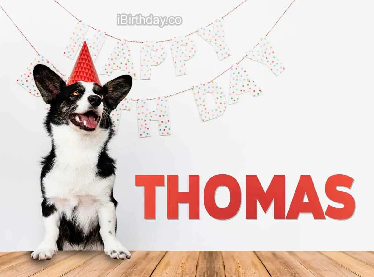 Toms birthday is. Happy Birthday Thomas. Happy Tom.