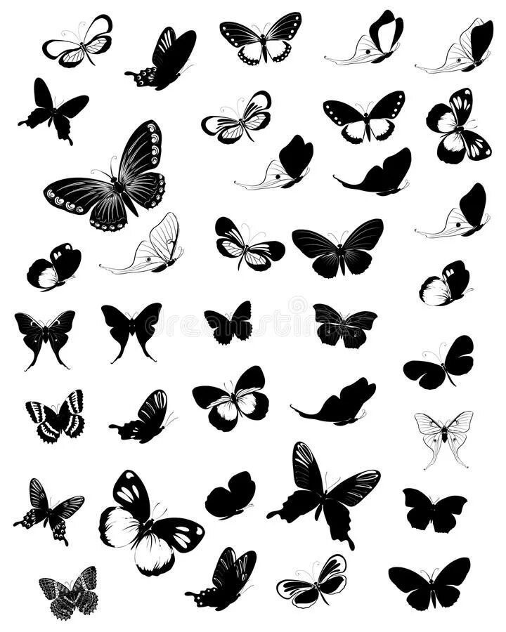 Маленькие черные бабочки