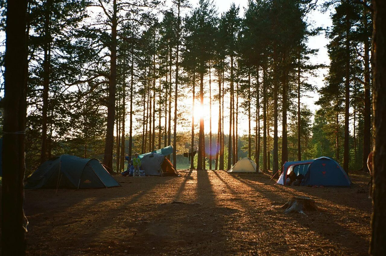 Russian camping. Палаточный лагерь Карелия. Карелия Онежское озеро палатки. Кемпинг на Ладоге в Карелии. Карелия Онежское озеро автокемпинг.