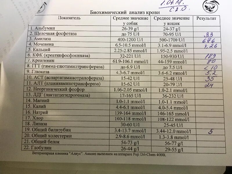 Анализ ай75