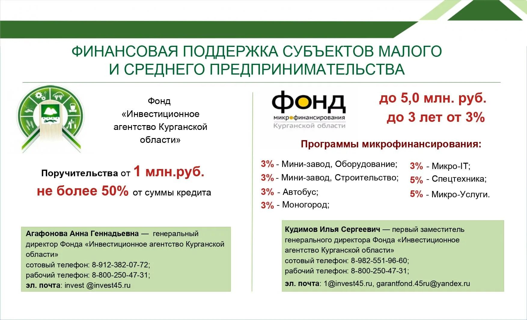 Госпрограмма 2025