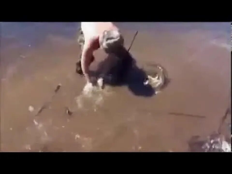 Рыбак с удочкой. Рыбак на берегу реки. Экипировка рыбака. Веселая рыбалка. Рыбалка летом.